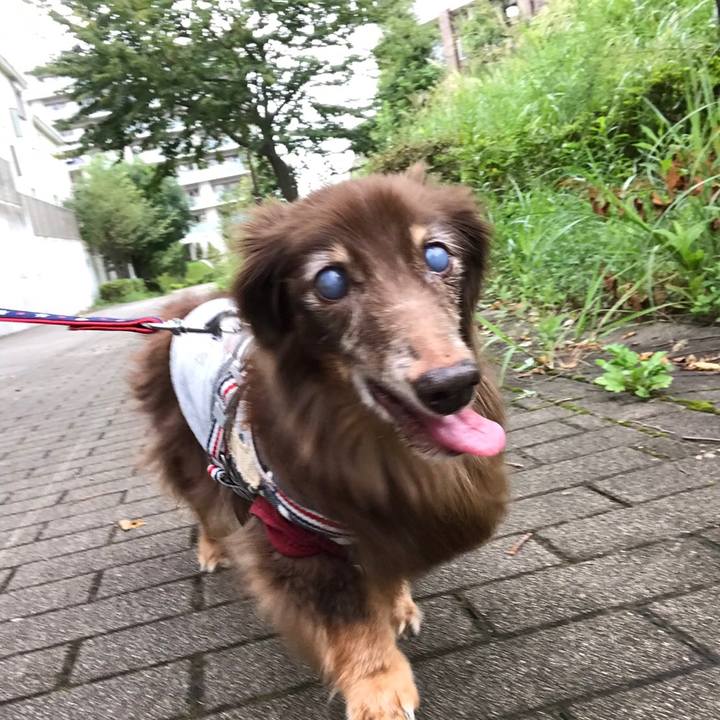 5e7a6e8d 061a 4432 bc92 c55873785225 1569039048783