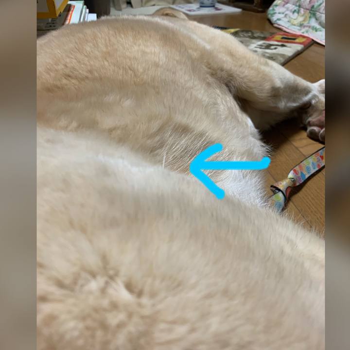 5e7aa062 6b19 4e86 bc07 ffecbb3051b6 1585396045133