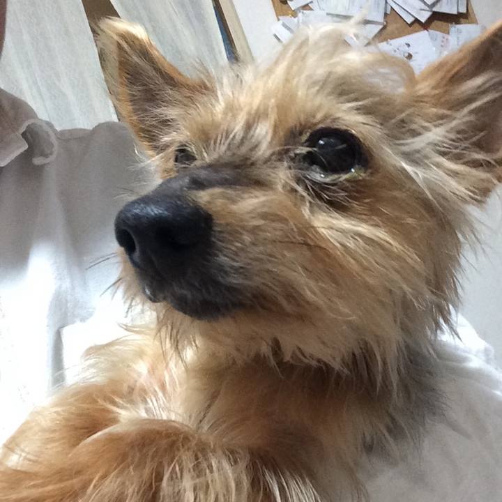 5e7ab725 efd7 4292 9135 8e5444649598 1657428368205