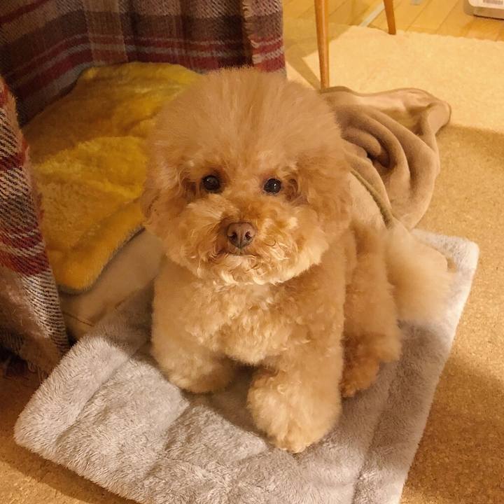 5e7b41d4 e33a 4626 9856 82541ff5559b 1511477399042