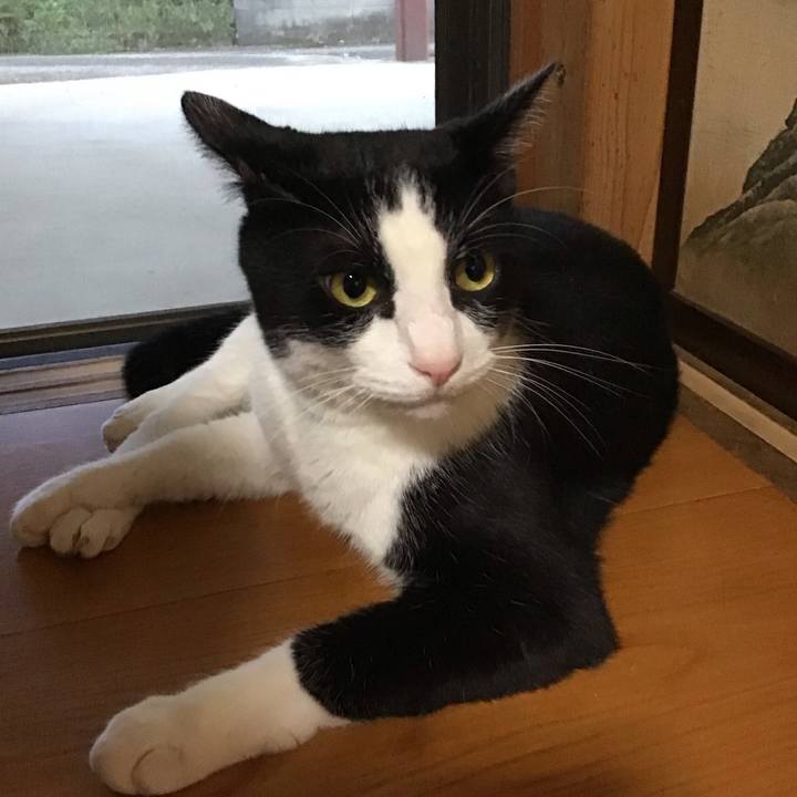 5e7b4e45 2c44 4287 b449 fc612d111e56 1726396319084