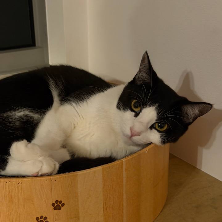 5e7b5aec 5b55 46c5 9e04 94cee9e004f5 1761144094595