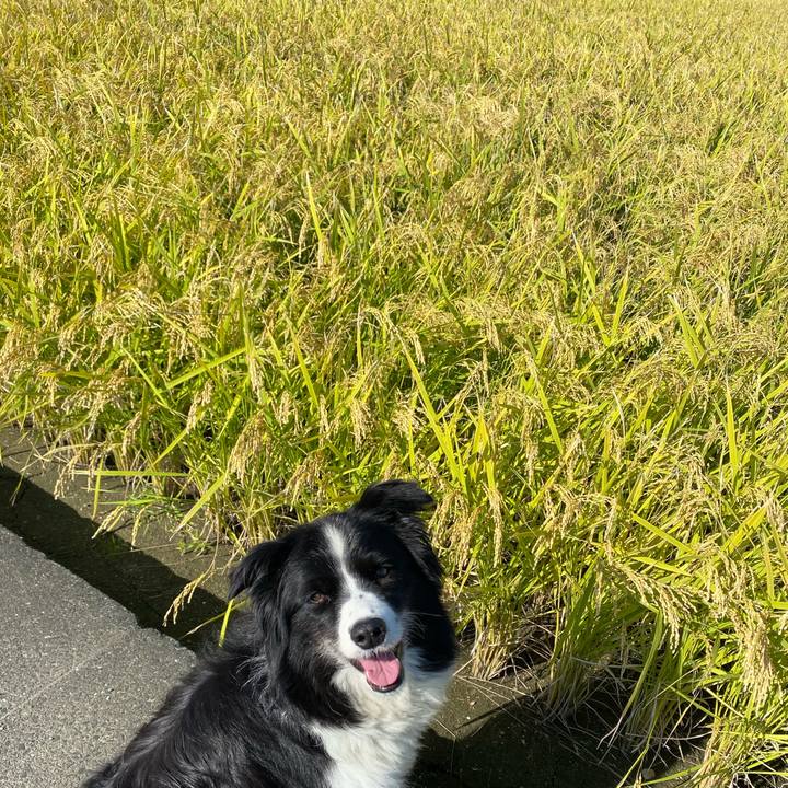 5e7b689f a29b 4778 9c73 cc0d3d12bf8a 1601339805497