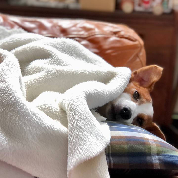 5e7bb65c f239 4caa b132 20fd8b019bfc 1670384005726