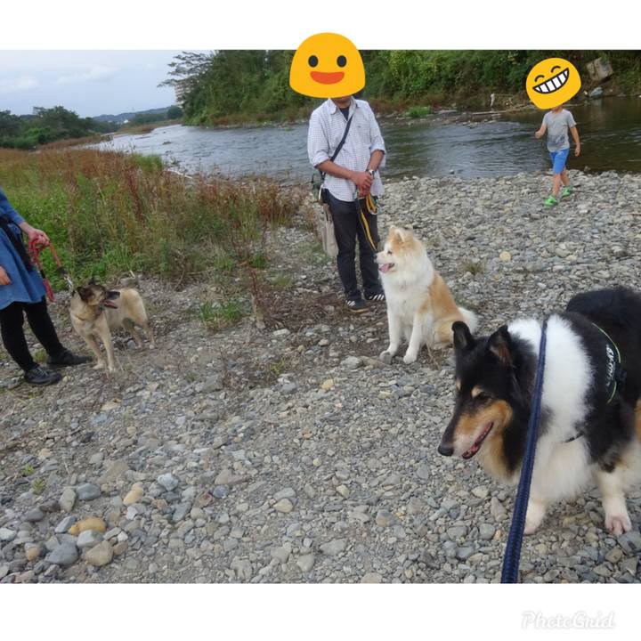 5e7bc115 7712 4c07 a3bf 7e0f499c274b 1601819435481