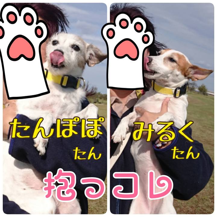 5e7bc6fe 07d6 4891 b09f 3ee29af88537 1571229358021