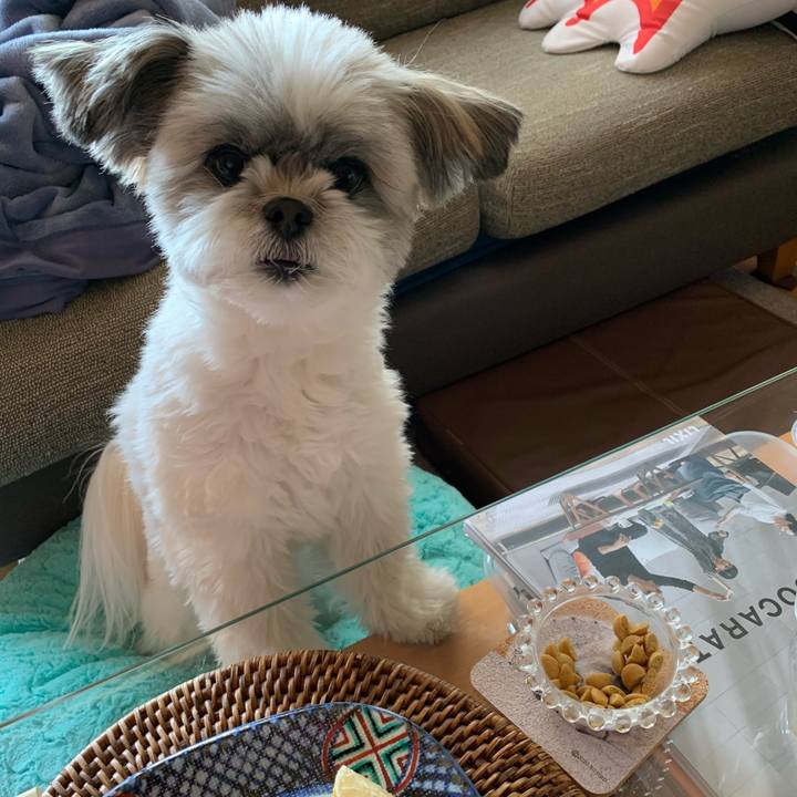 5e7c511a 32b8 41f5 9d5a 8aa668ca59d5 1587084012534