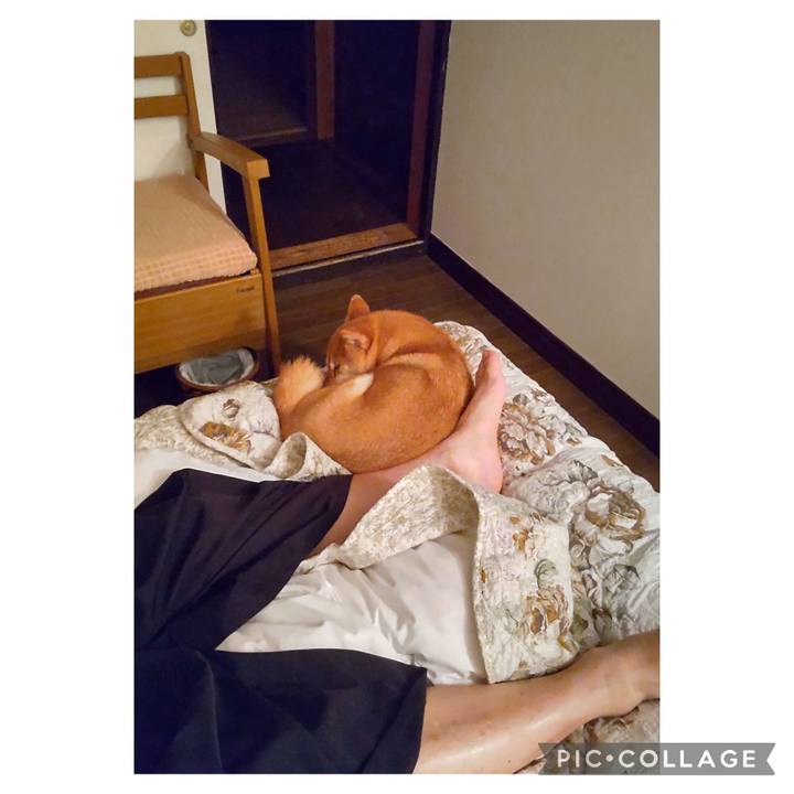 5e7c72e4 ba43 42da a700 43b75a5f5128 1715753268624