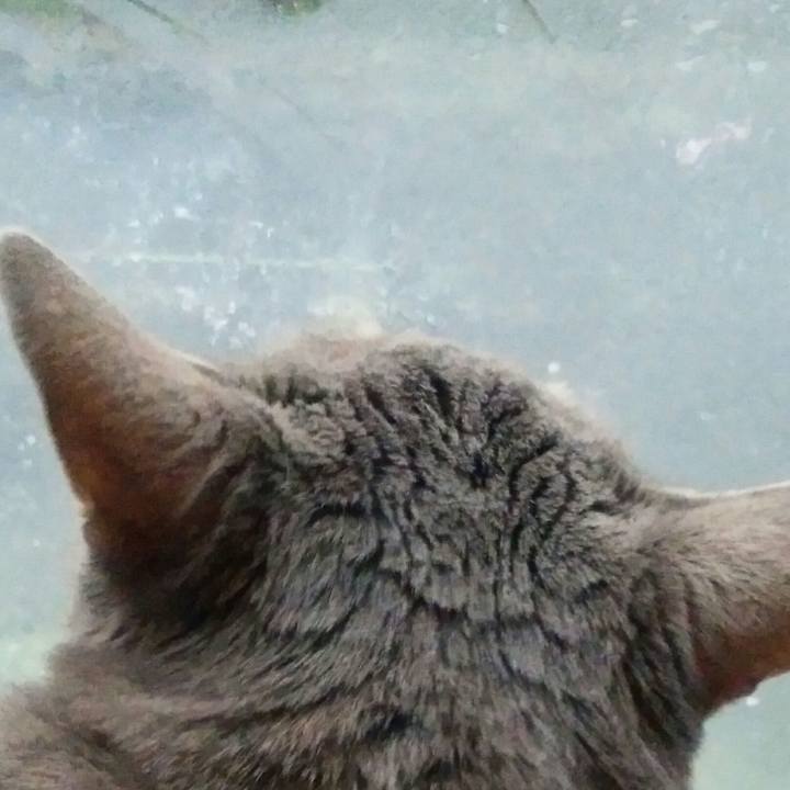 5e7c94bc 334c 494e b456 495628f1452d 1556955373362