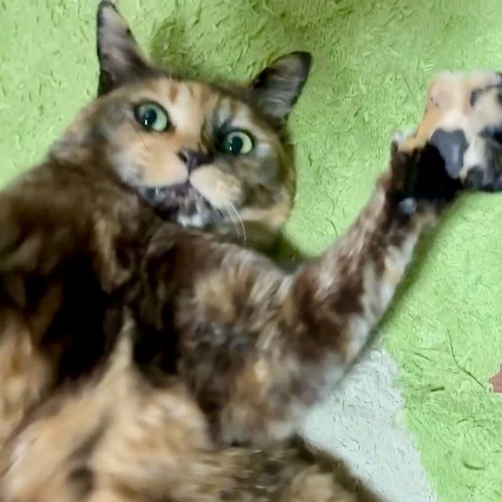 5e7c9c7b 30d5 4012 adbb dfb97ebdb0cd 1744450533640