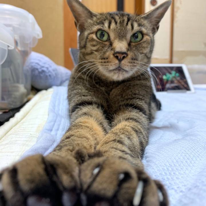 5e7cb481 9f97 4526 9c29 aafd6758715e 1558573771301