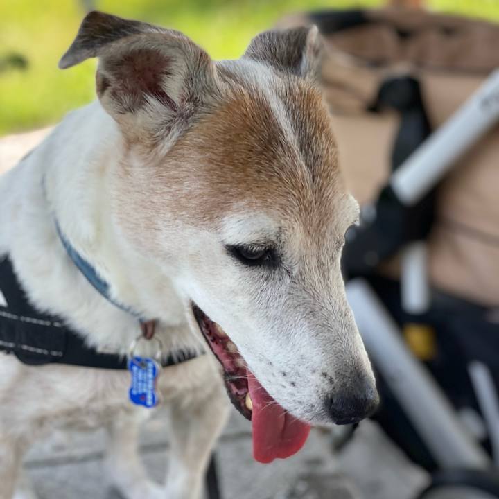 5e7cbc0a f09f 4954 a4b4 e3cbfec4f481 1632387687968