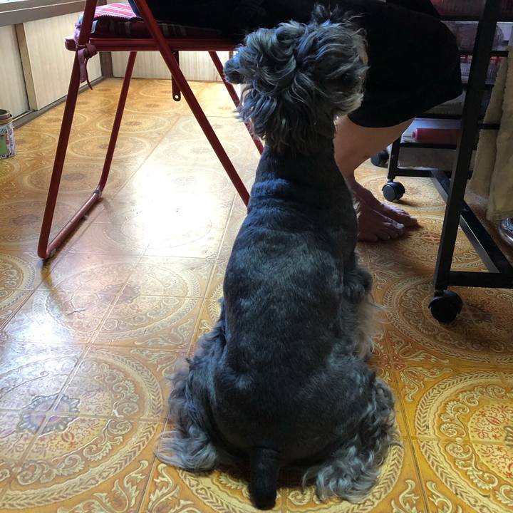 5e7cd9df 6151 4436 8894 493ddffcd30b 1692935877191