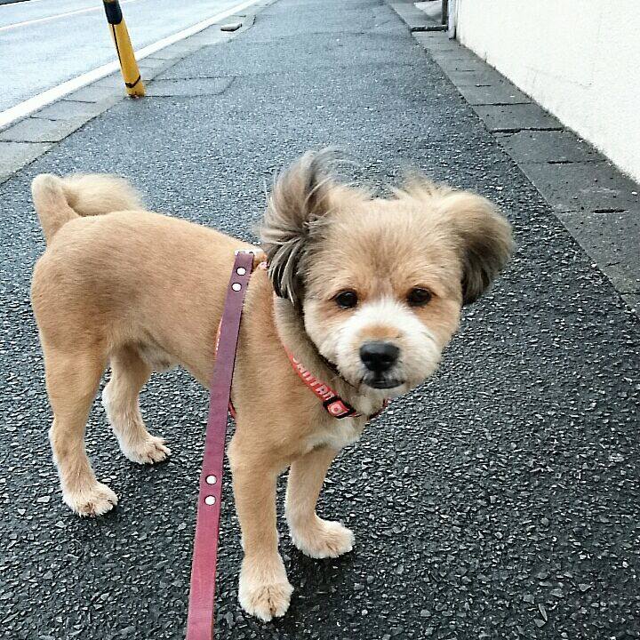 5e7d06df 00ae 4d3a ae13 e54871f6e0ae 1530568600146