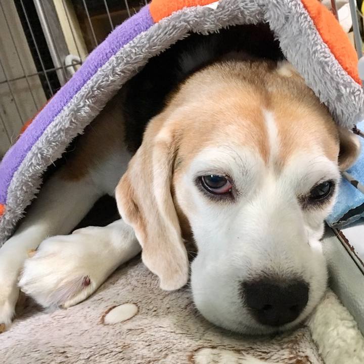 5e7d1314 5a36 4a14 9ba7 ef3d598eec6f 1559455988982