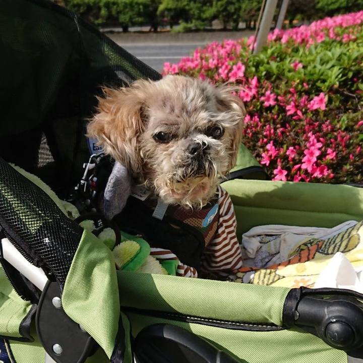 5e7d215a 8ba2 4ee2 9b67 40aa74a8f7db 1557624640824