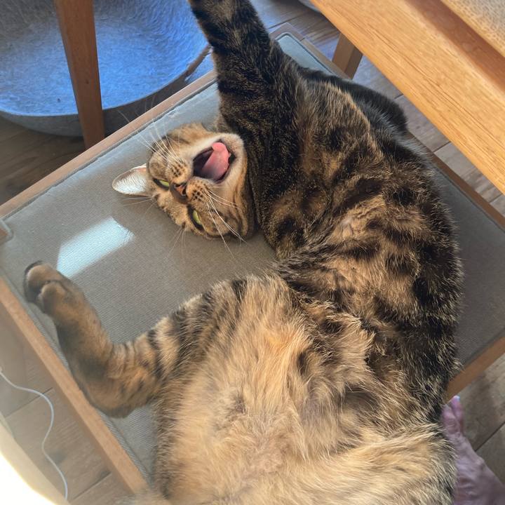 5e7d24a1 39e0 44a8 9c87 b64e4aeffacd 1734390394739