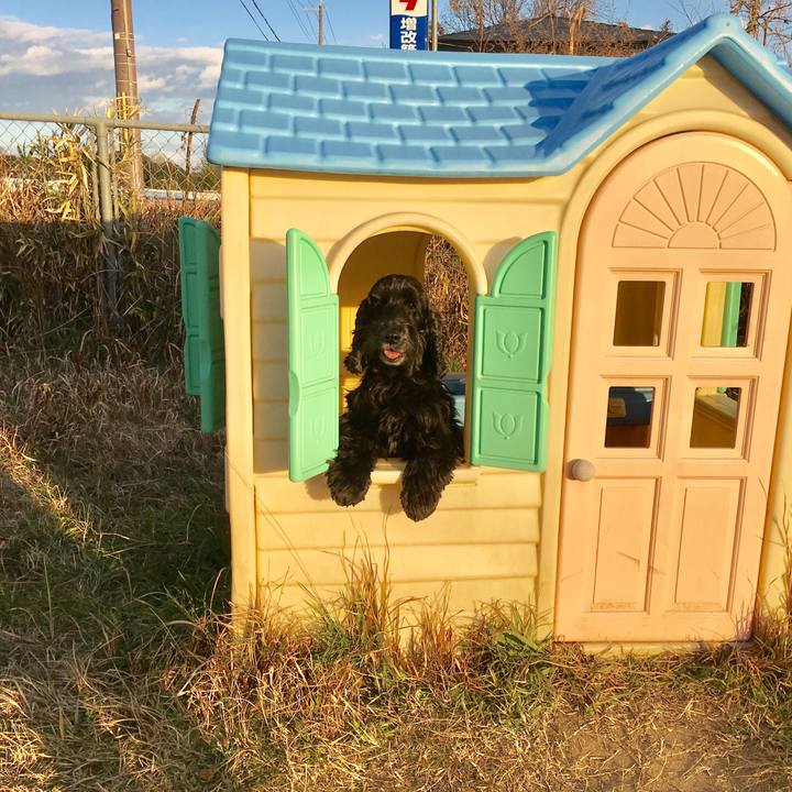 5e7d3963 c5d0 46ad b572 91f797f590f7 1514944222122