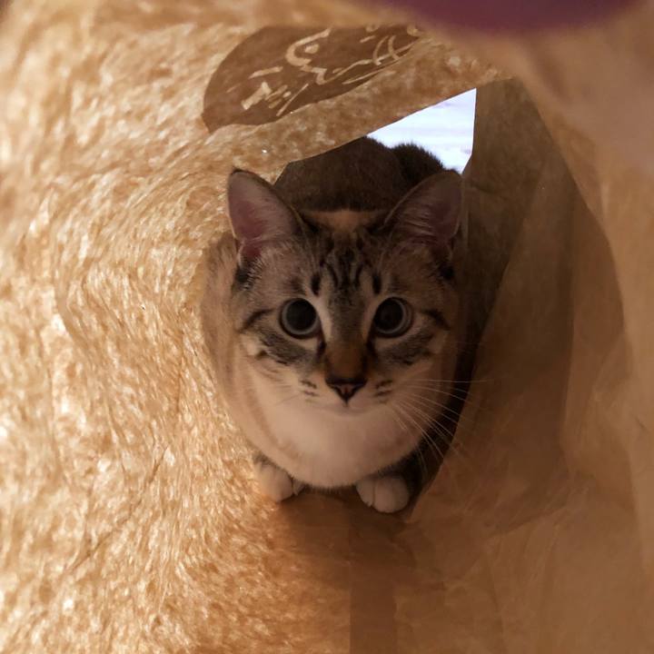 5e7d4ccb 778a 406e b291 20d0621966f9 1630241571957