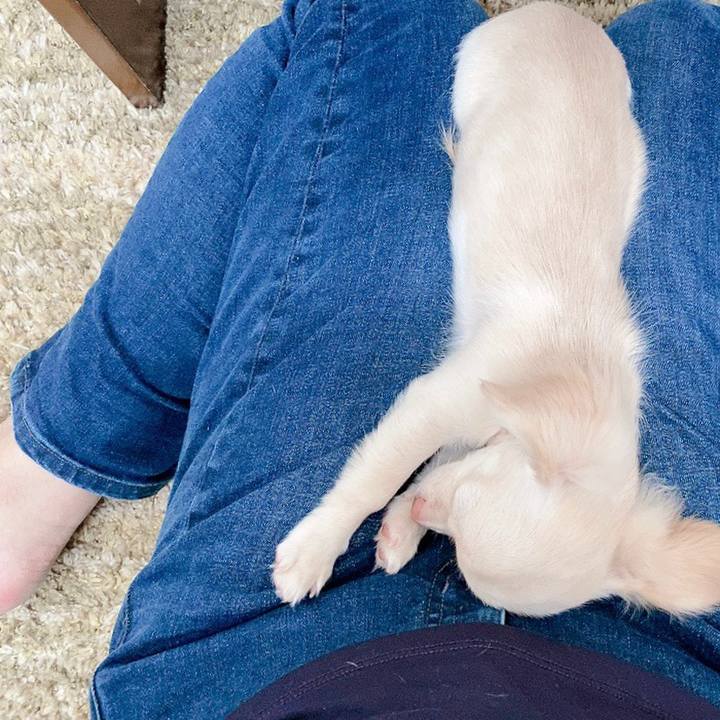 5e7d86d0 c3be 462e bccb 1e661d7791b3 1593402305796