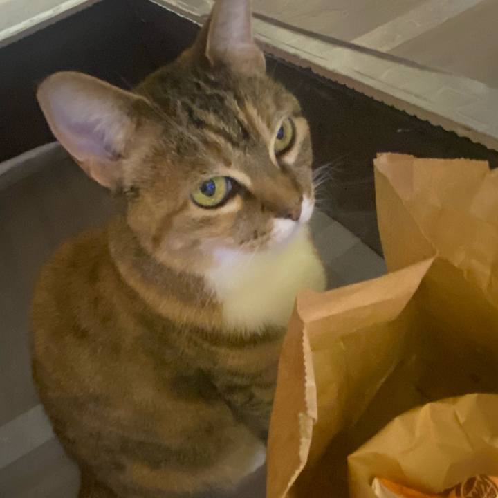 5e7d9a29 22fd 4626 8b91 cb6011ab9d63 1622459672396