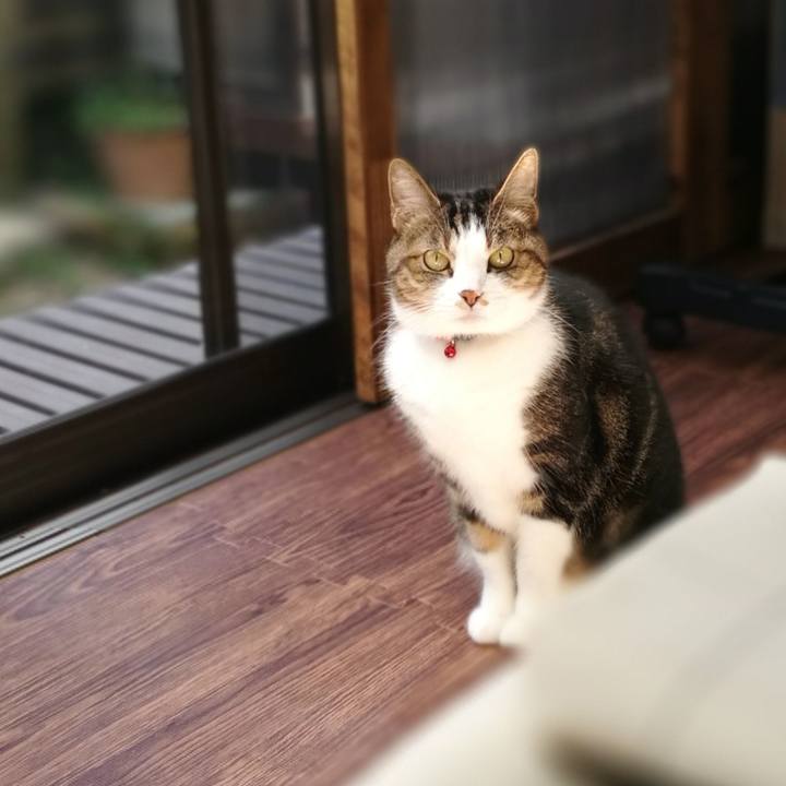 5e7df8f0 1149 4701 8a2d 363e589497a8 1553999100184