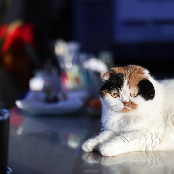 5e7dffcc 287e 4176 9079 cfeaa8fc3059 1704634702347