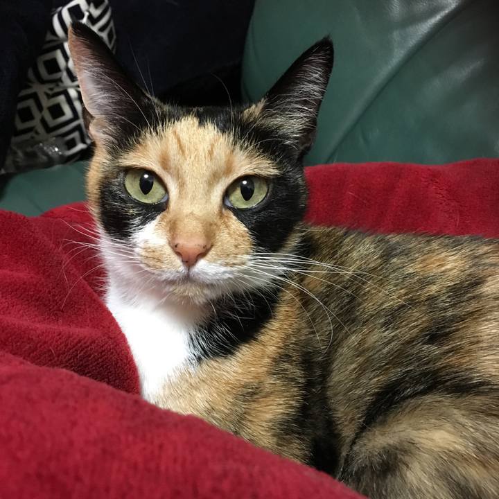 5e7e0713 ffbf 46d6 9bea db251b022cd4 1511692513540