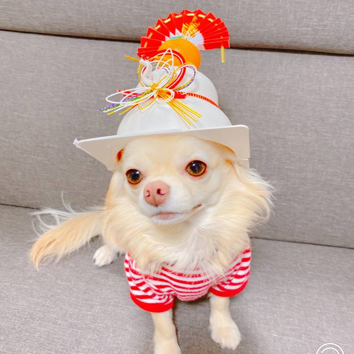 5e7e29a6 caef 4ab4 9b25 f0e26ad519fe 1641910218943