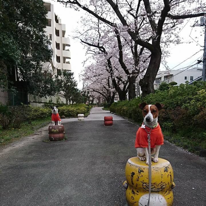 5e7e3212 8ac1 4bd8 bfb8 8b71e04f4ac4 1585013080189