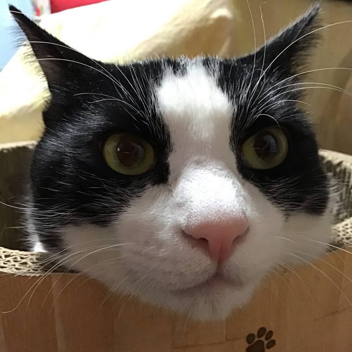 5e7e3d20 1aee 466b ac4f 963c8e669a5e 1737109219571