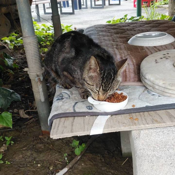 5e7e558d 631e 4764 a575 1fa4c4bcae27 1590106486222