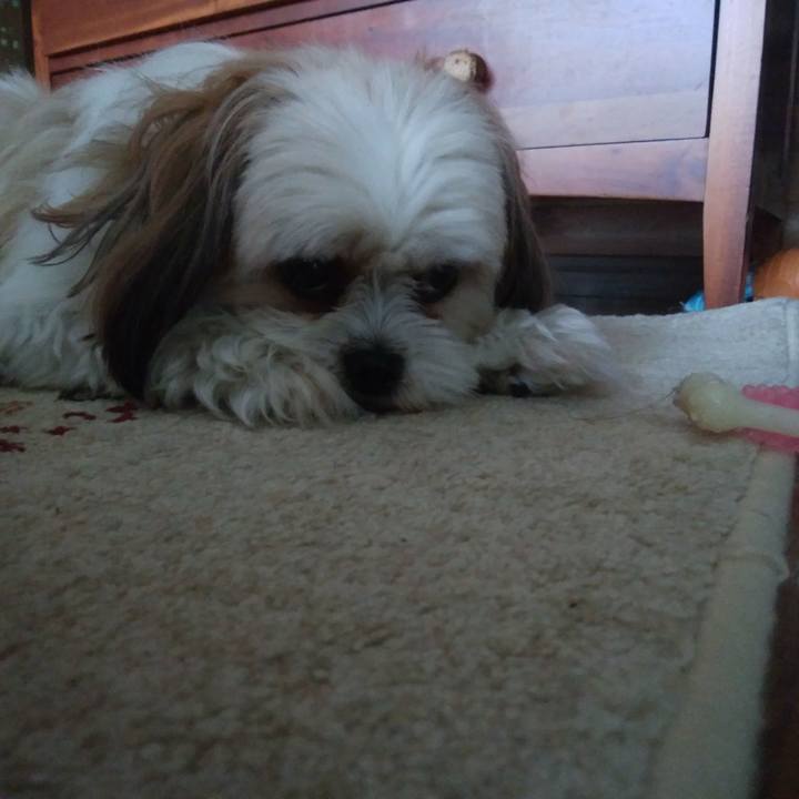 5e7e76f0 a50c 4c1f 8d9d afe235567554 1529478444854