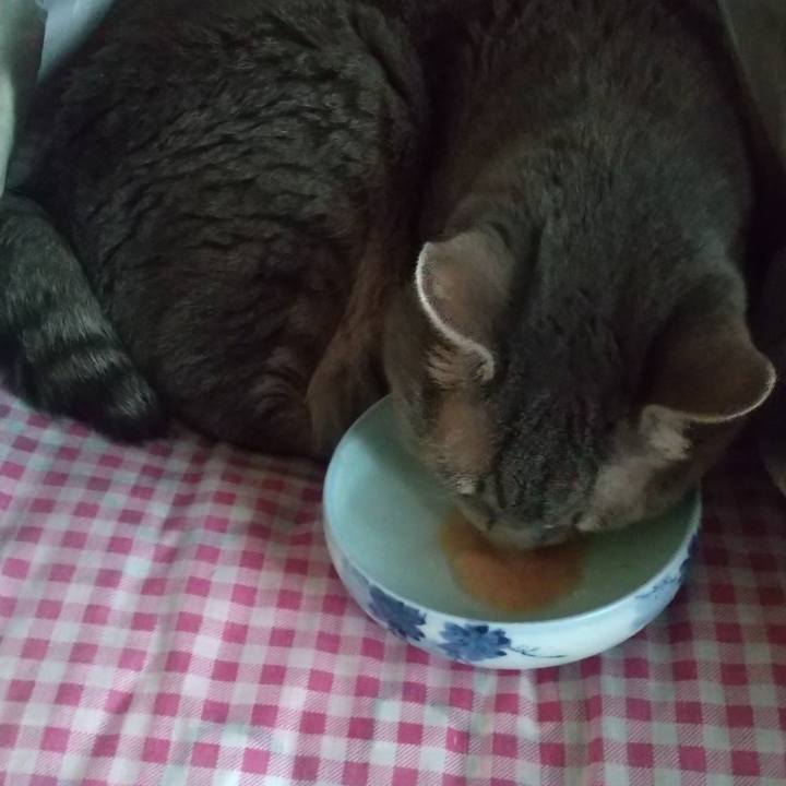 5e7e83c6 d3cc 4067 819d 43e950c5f483 1663990815026