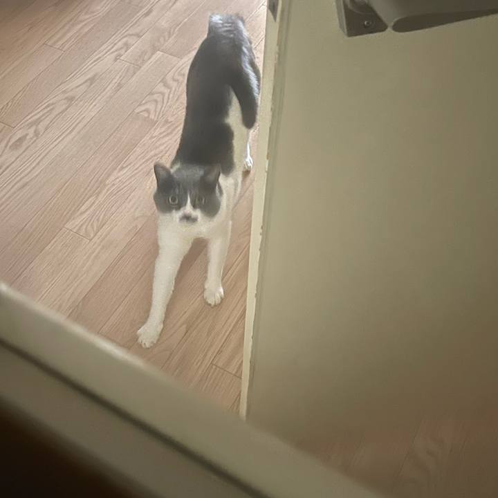 5e7e9fed a27d 4b5c 8fd9 a9c158ea5de2 1676957803736