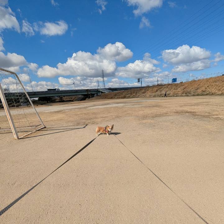 5e7ee175 3934 484a bb9d 8d06dbf12b8b 1741688400915