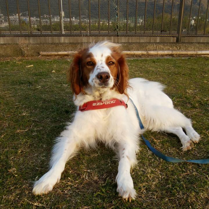 5e7ef366 cd39 4c34 8657 cd7ca718bb0e 1541147925124