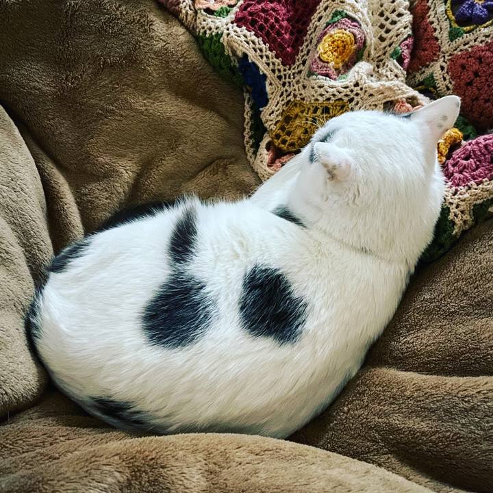 5e7efa13 9482 4fc9 96c8 e29df86a6914 1576651224806