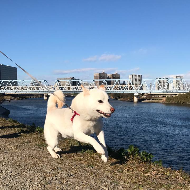 5e7f1bc6 620b 4ebc 9730 a88c8e9c011b 1513474175306