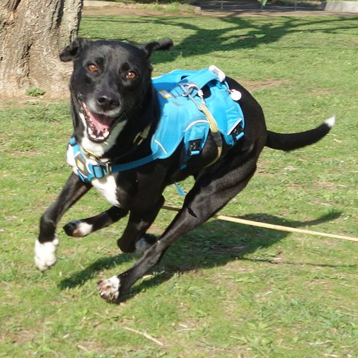 5e7f8fc5 cf8a 498a ba2d c4a24c3abdf4 1618100836476