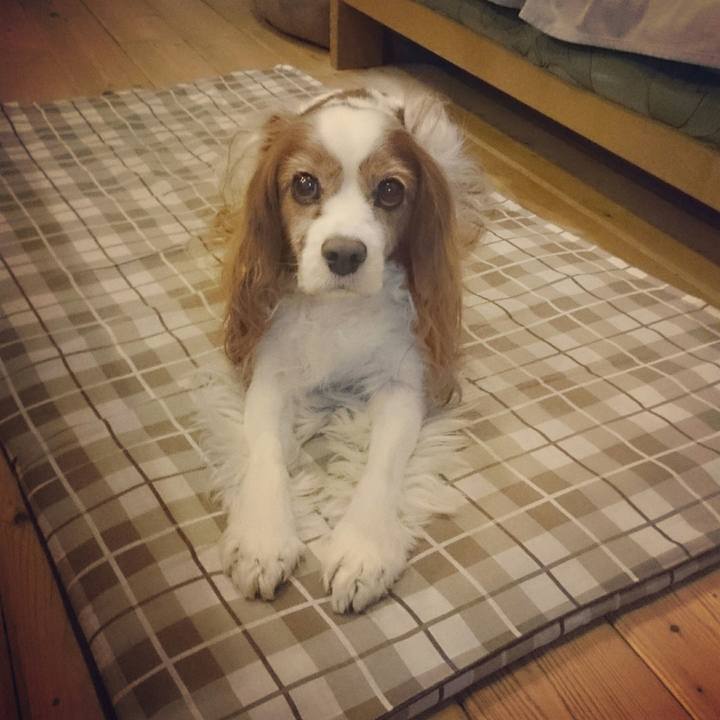 5e7fecef 871d 4e74 9f92 125de46f49dd 1517323362107