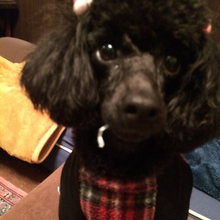 5e7ffb57 4acc 48bc 8e51 0181636cd79f 1542700586026