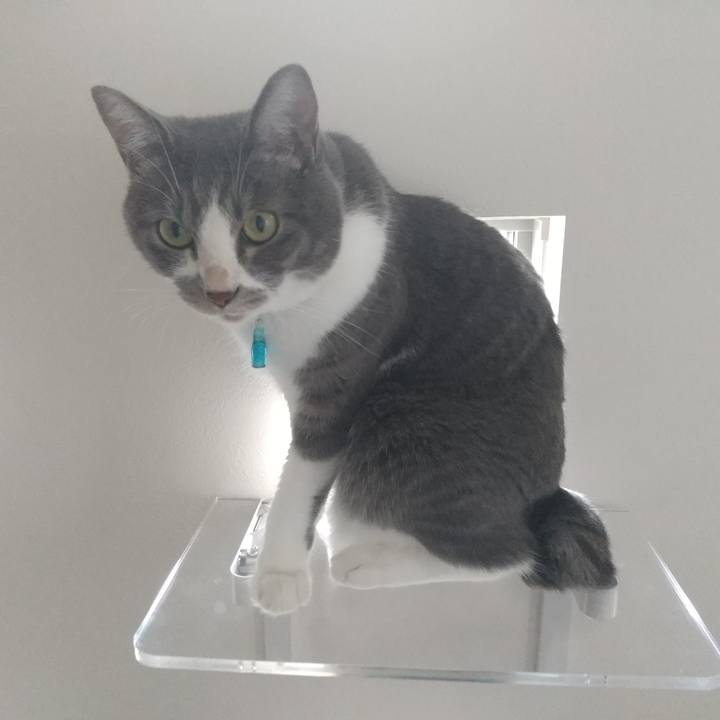 5e802564 0800 4b53 bdc9 342e4d2b2c98 1627012910489