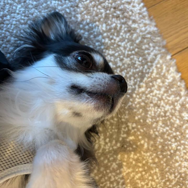 5e803cbe 0f34 449d a2b6 38e53fe5bd21 1722095559830