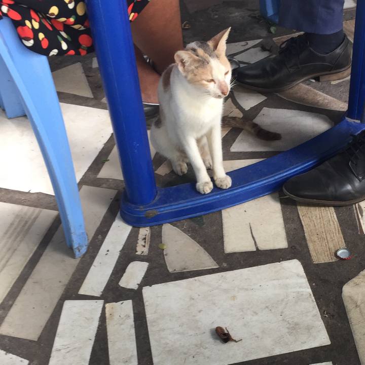 5e807728 f58c 4543 95b2 da5415b7e328 1509560611801