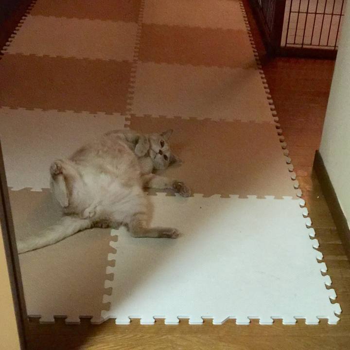 5e80abc9 8da0 46ce a82a b7171238840c 1569582345350