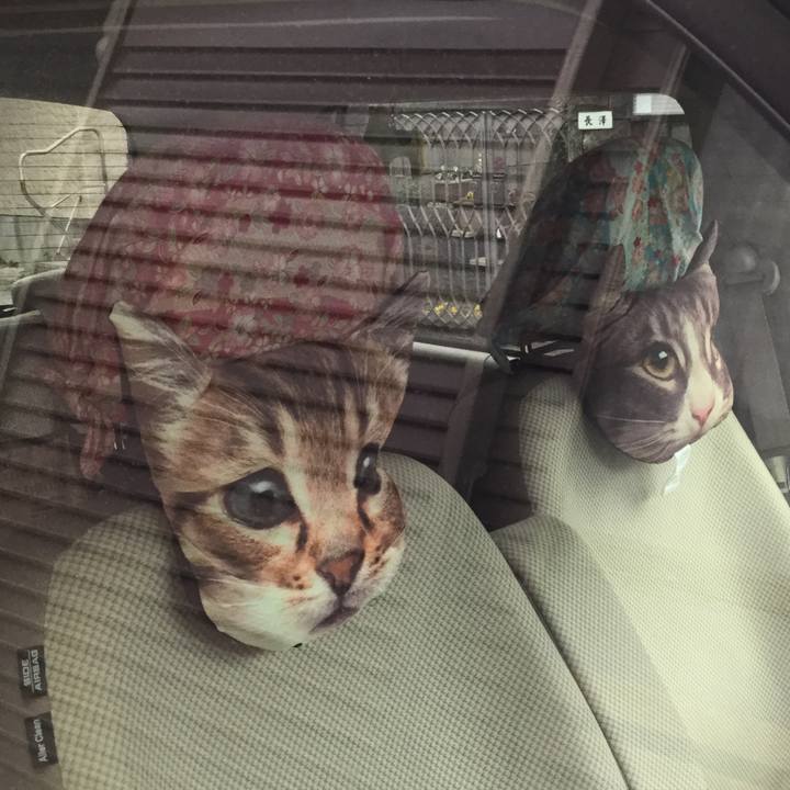 5e80d3ff 17bf 4ecd 84f2 10f78e3c7490 1553315558196