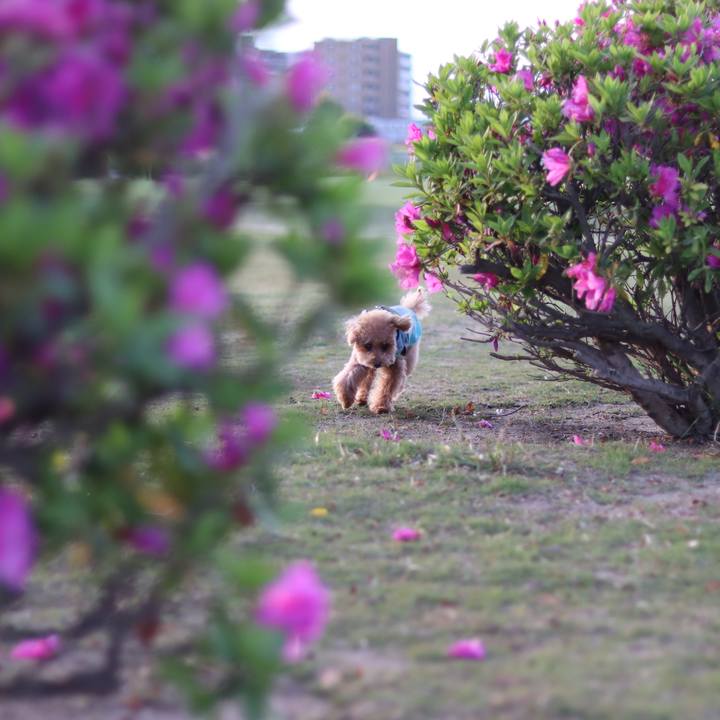 5e81052f 55c2 4722 8087 3b54e17f9e4d 1587293176567