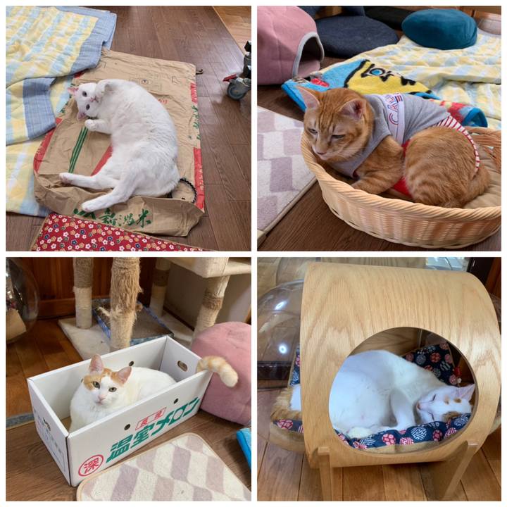 5e810c91 3aef 4130 b0c0 49ea6bb2f2b9 1601697878023