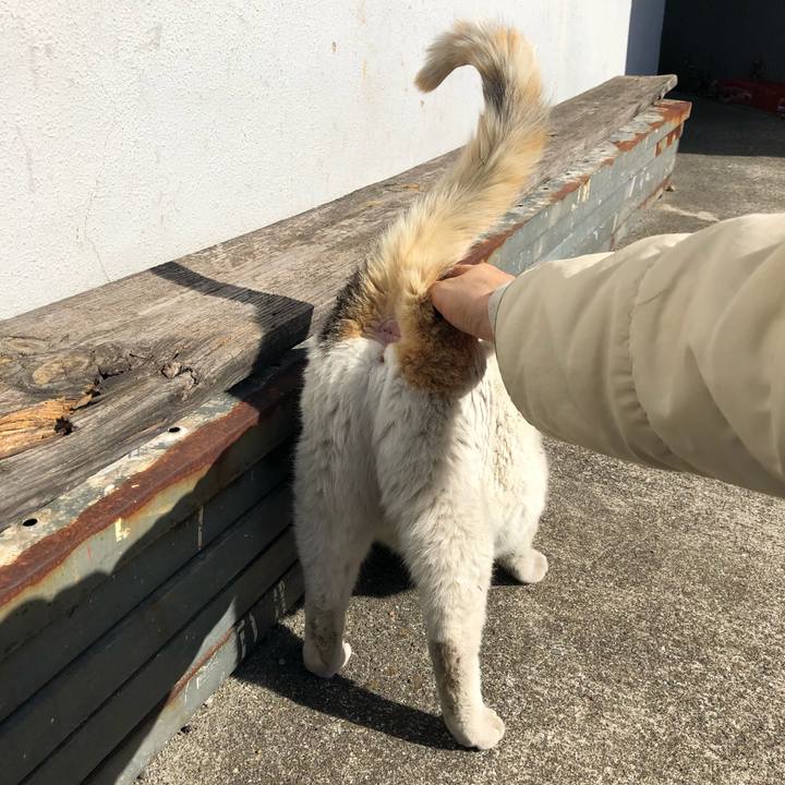 5e812bcf c7da 4808 8937 190fdc202a4d 1550750187533